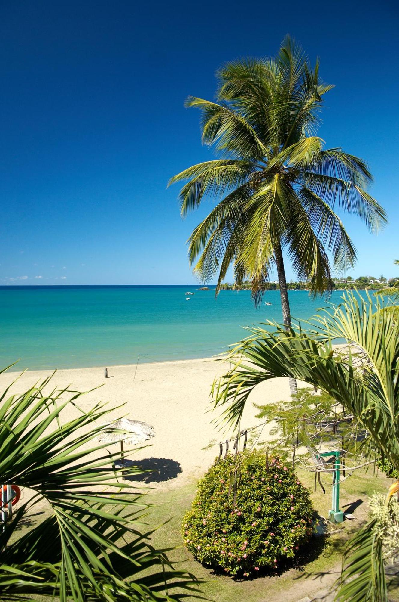 Starfish Tobago Hotel Black Rock Exterior photo